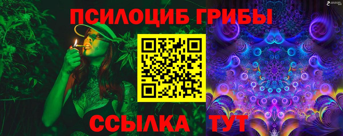 Сегежа  Псилоцибиновые грибы ЛСД  цены   Вход с VPN  Галлюциногенные грибы Psilocybine cubensis 