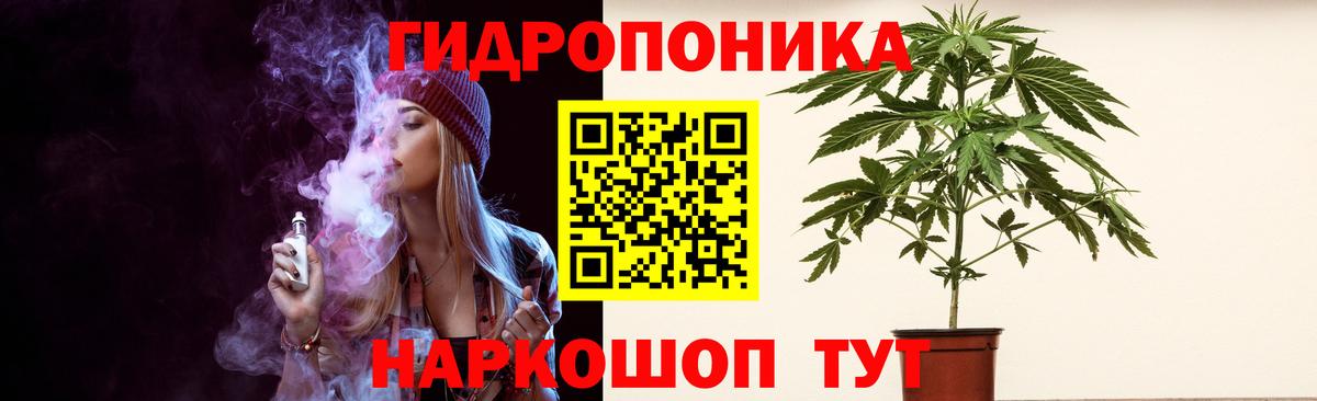 Каннабис индика Сегежа